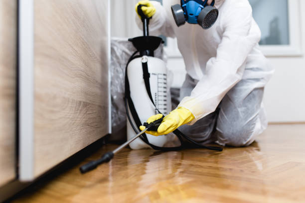 Trusted Bogata, TX Pest Control Experts
