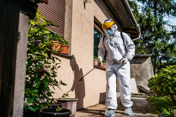 Pest Prevention Services in Bogata, TX
