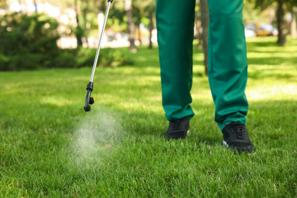 Best Residential Pest Control  in Bogata, TX