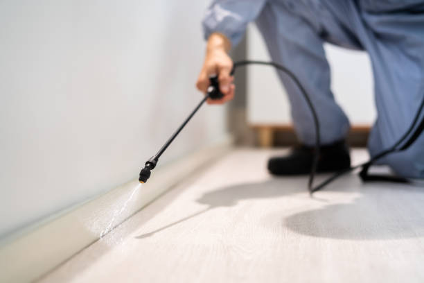 Professional Pest Control in Bogata, TX