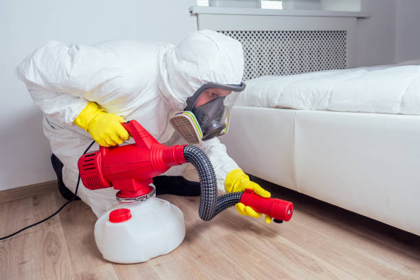 Best Pest Prevention Services  in Bogata, TX