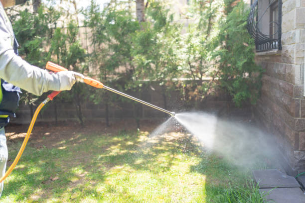 Best Exterminator Services  in Bogata, TX